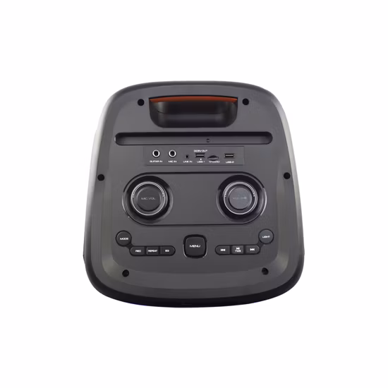 Tms-1035 Temeisheng Distributor Dual 10 Inch FM Audio Bluetooth DJ a-Like Portable Partybox Speaker