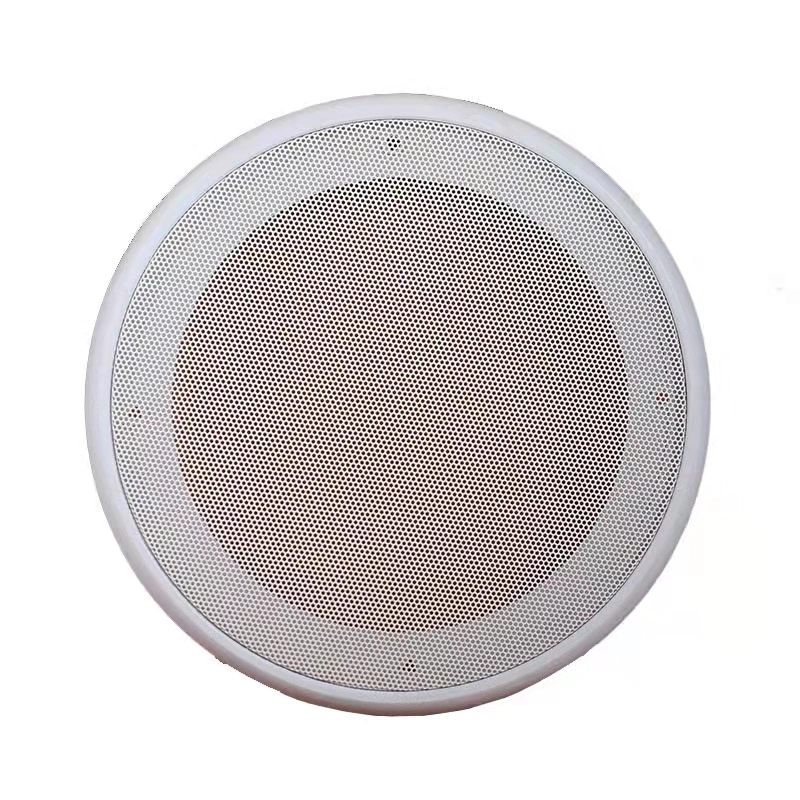 Manufacturer Customized Protection Dustproof Iron Ceiling Speaker Mesh