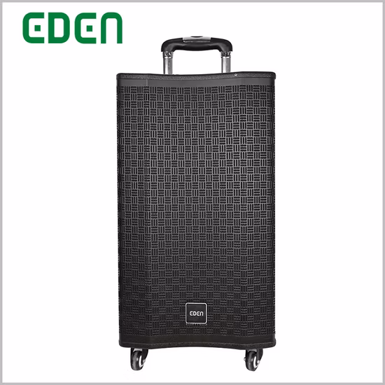 Qqchinapa WiFi ワイヤレス Bluetooth アクティブ壁天井ホーン PA オーディオコラムスピーカー