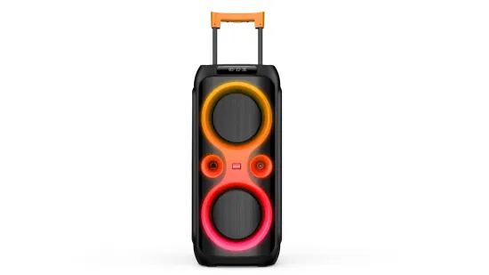 2022 プライベート スピーカー ハイパワー PA オーディオ デュアル 10 インチ ワイヤレス Bluetooth DJ ディスコ カラオケ ウーファー パーティー スピーカー 内蔵アンプ付き Caixa De Son De 100W