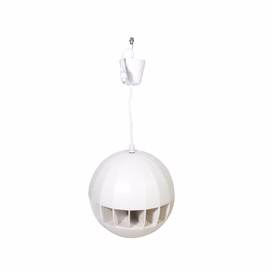 IP ネットワーク Poe パブリック アドレス 天井 IP スピーカー